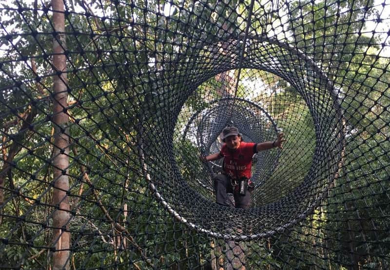 A person wearing a red shirt and cap is climbing through a suspended net tunnel in a forest.