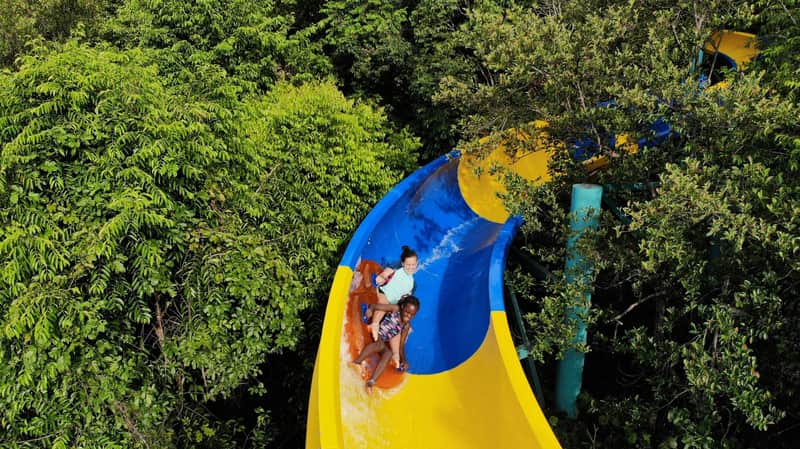 Two people sliding down a yellow and blue water slide surrounded by lush green trees.
