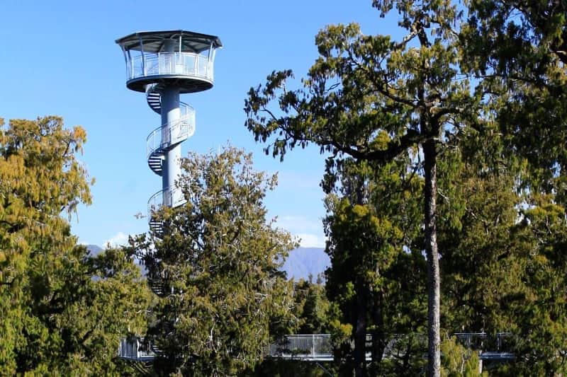 West Coast Tree Top Tower: Zipline + Walkway Combo Ticket