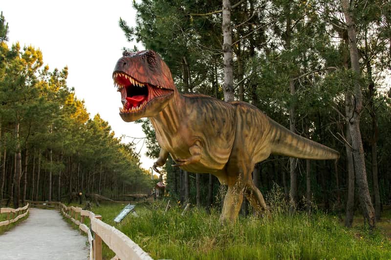 Dino Parque Lourinhã: Entry Ticket