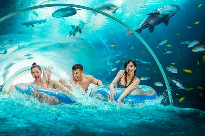 Adventure Cove Waterpark™: Entry Ticket