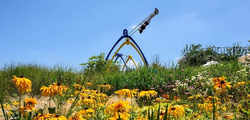 Jeju 9.81 Park: Full Package Entry Ticket