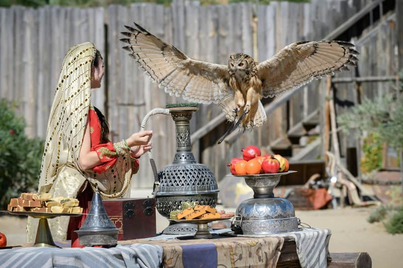 An owl with outstretched wings perches on a table with ornate items, fruit, and a woman in traditional attire nearby.
