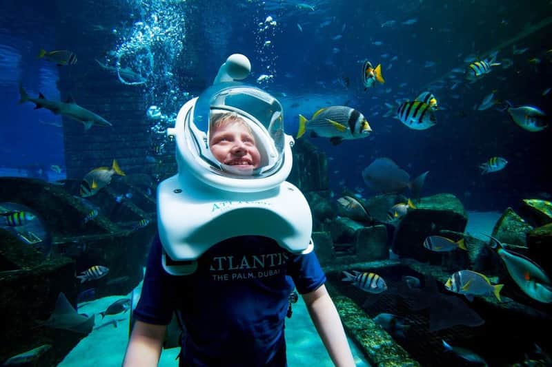Aquaventure World: Waterpark Day Pass + Shark Snorkel or Safari