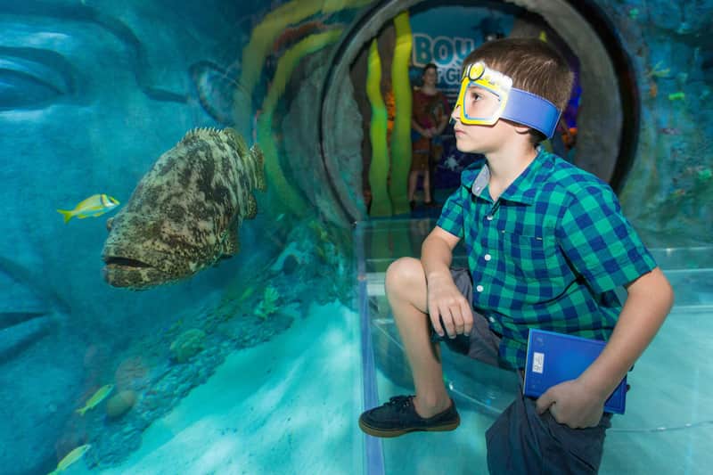 A boy in a green plaid shirt stands in an aquarium tunnel, wearing goggles and holding a blue notebook.