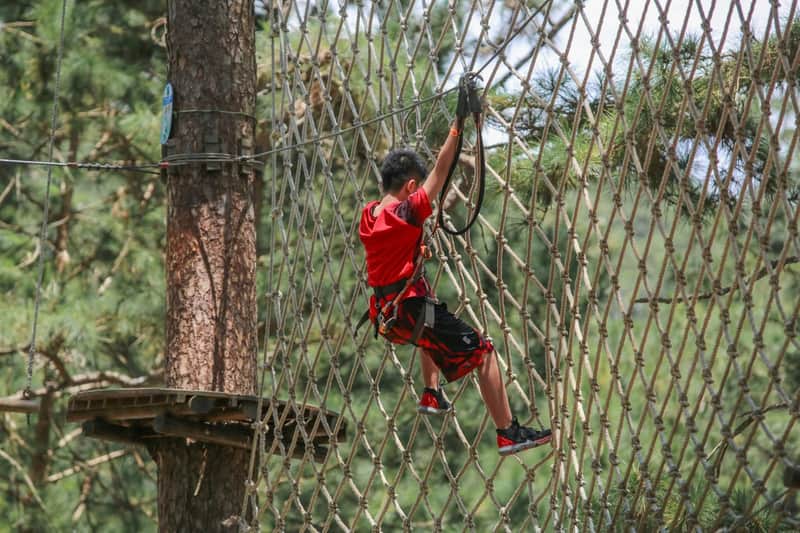 Da Lat: High Rope Course Adventure - Peak Hours (08:00-16:00) Last Check-In 13:45 Da Lat: High Rope Course Adventure - Peak Hours (08:00-16:00) Last Check-In 13:45