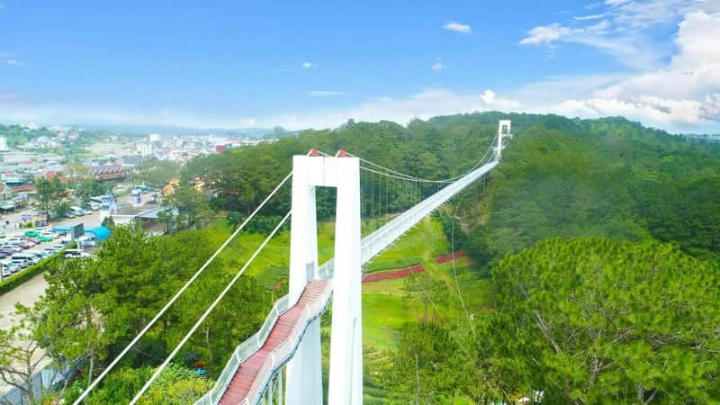A long white suspension bridge spans over green trees on a sunny day with a city visible in the background.