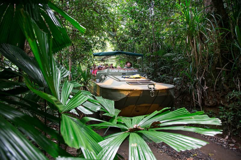 Rainforestation Nature Park Park Tickets (Kuranda) People on a safari vehicle named "Rainforestation" in a dense, tropical forest with large green leaves in the foreground.