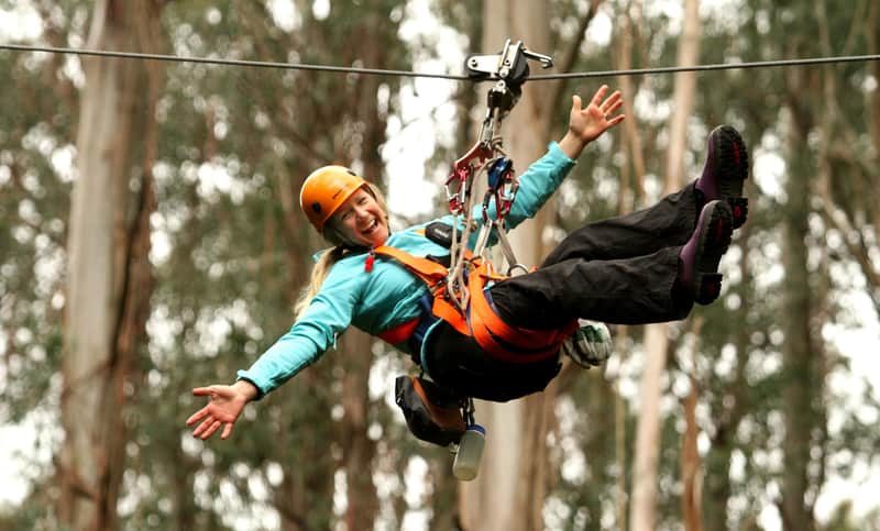 Otway Fly Treetop Adventures