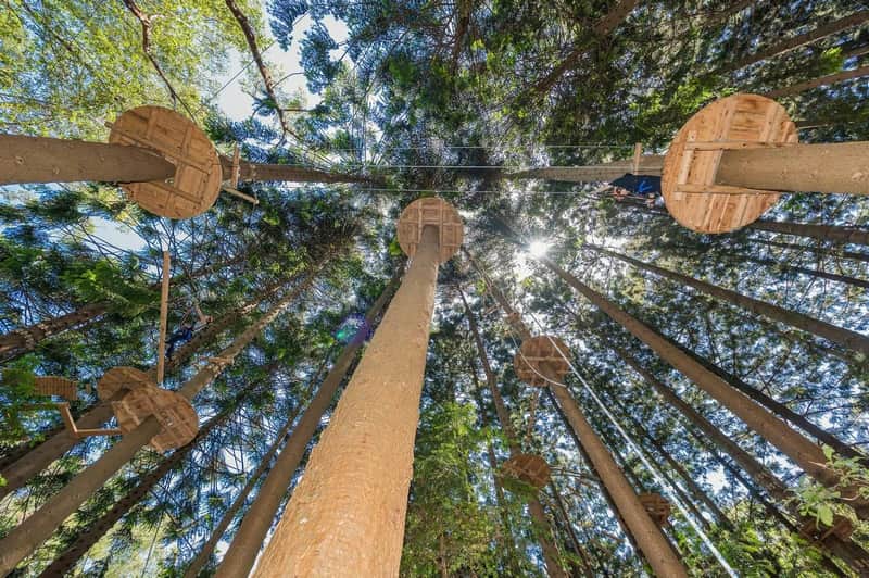 Treetops Adventure The Hills