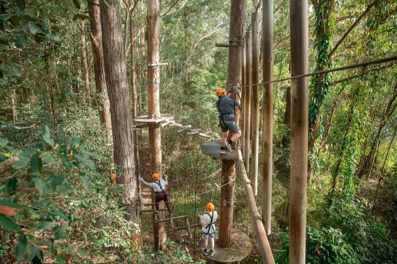 Treetops Adventure Central Coast