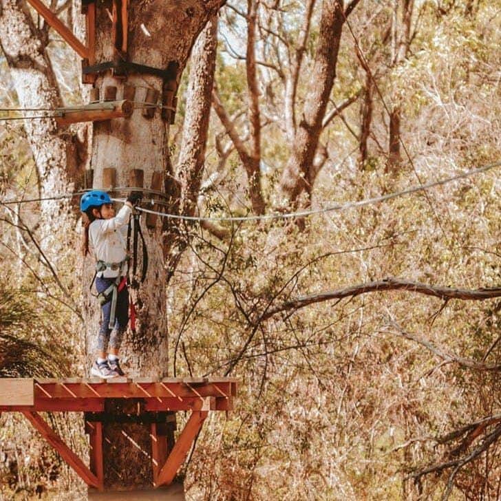 Treetops Adventure Yanchep Treetops Adventure Yanchep