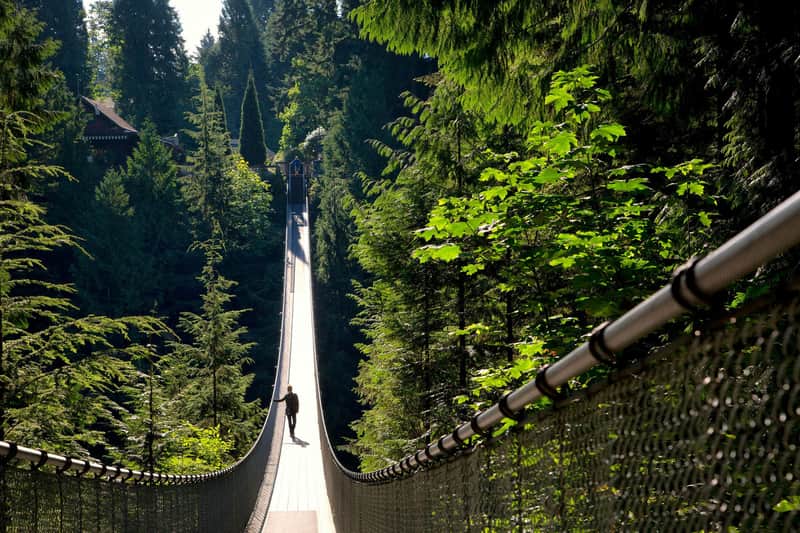 Capilano Suspension Bridge Park