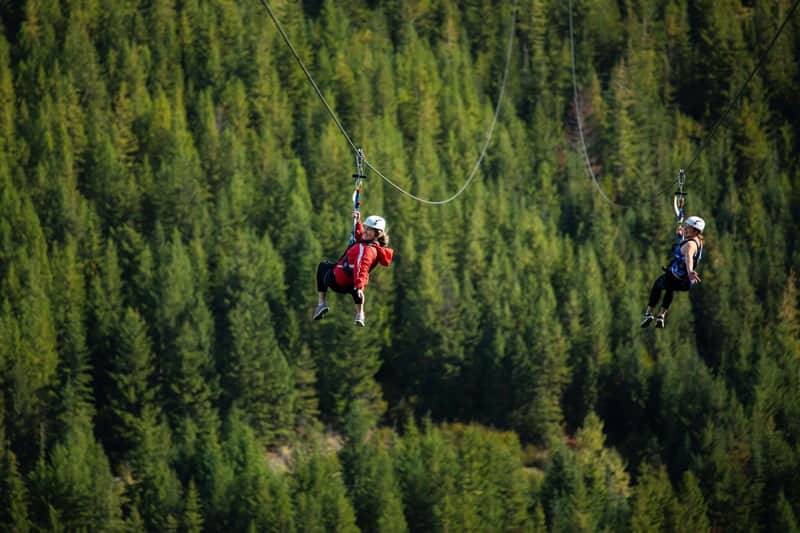 Ziptrek Ecotours
