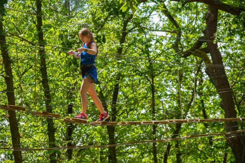 Accrocamp: Meudon Forest