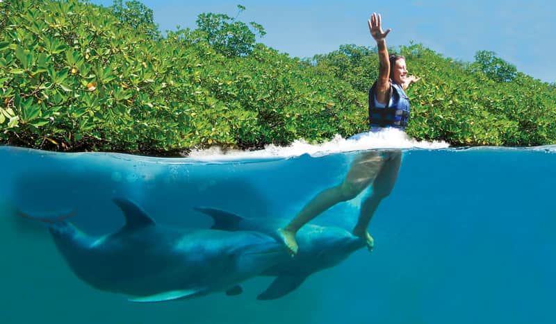 Delphinus Xcaret Delphinus Xcaret
