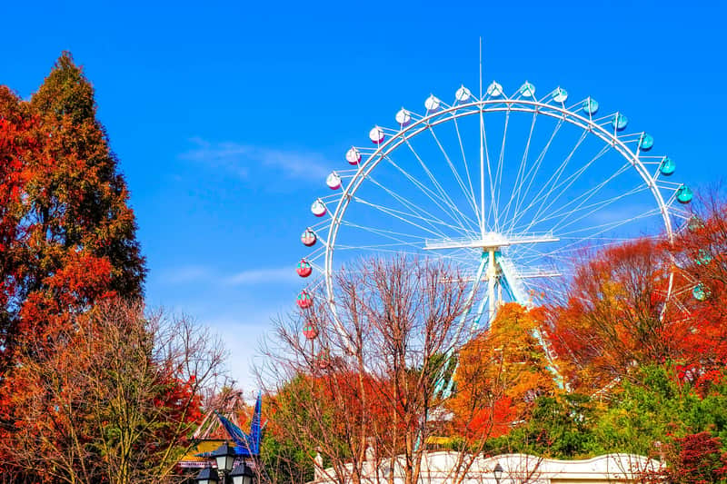 Everland