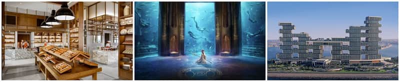 Atlantis The Palm