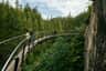 Capilano-Hängebrücken-Park