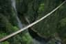 Capilano und Stadt Tour