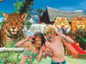 Two children with tiger face paint pose with claws near a water play area featuring animal-themed decorations and slides.