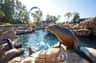 A sea lion lounges on a rock beside a pool, with another sea lion in the water. A roller coaster is visible in the background.