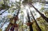 Treetops Adventure Dwellingup