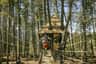 Golden Skybridge