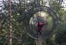 A person in a red shirt navigates a tunnel made of netting suspended among trees in a forest setting.