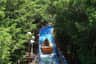 People ride a log flume through a forested water track, surrounded by lush green trees.