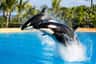 Loro Parque