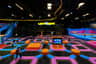 Loco Bear - The Ultimate Entertainment Hub