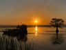 Boggy Creek Airboat Adventures