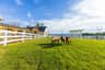 Skyland Ranch