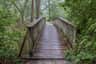 Okefenokee Swamp Park